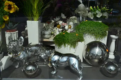 Kwiaciarnia Stokrotka